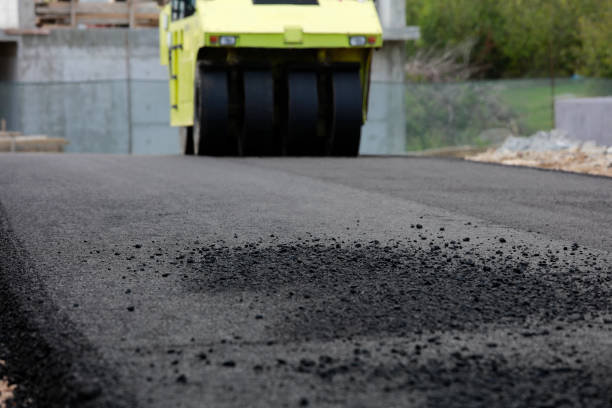 Best Professional Driveway Pavers  in Waterloo, IN