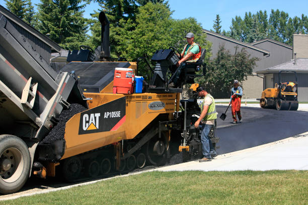 Best Local Driveway Pavers  in Waterloo, IN